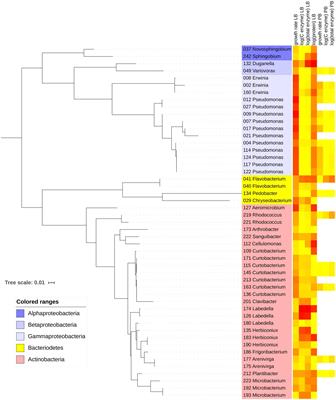 Bacterial Tradeoffs in Growth Rate and Extracellular Enzymes